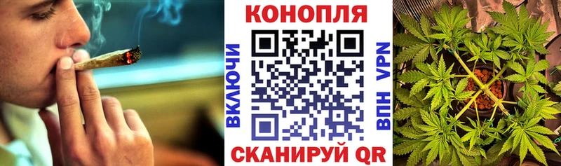 Купить наркотик Канаш КОКАИН  Меф  ГАШИШ 