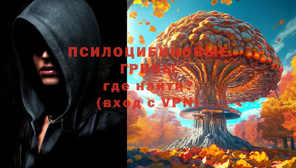 каннабис Аркадак
