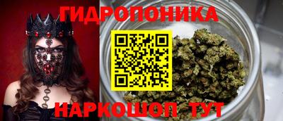 mdpv Краснознаменск
