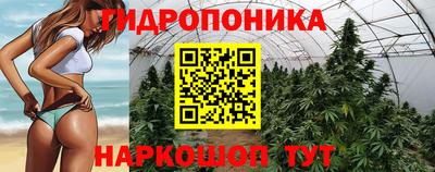 спиды Краснодар