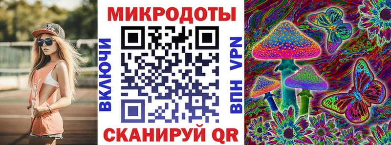дарнет шоп  Канаш  Галлюциногенные грибы ЛСД 