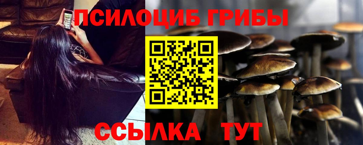 Канаш  Галлюциногенные грибы MAGIC MUSHROOMS  Вход с VPN 